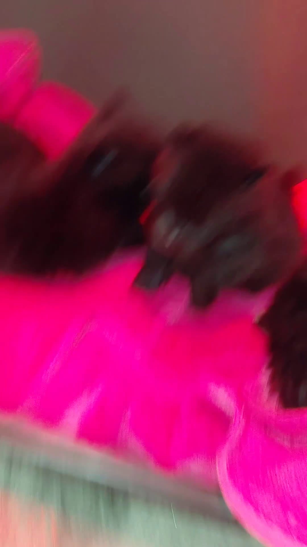 Pomerania perros en venta: Pomeranias cara muñeca - Video 1