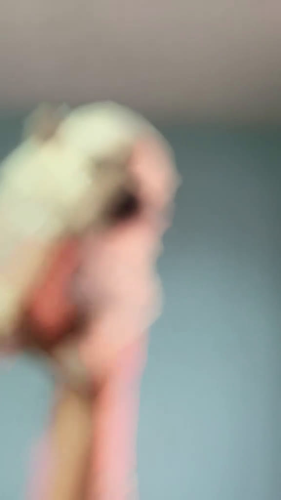 Pomerania perros en venta: 🐾✨ CAMADA DE POMERANIA DISPONIBLE – JORSANPET ✨🐾 - Video 1