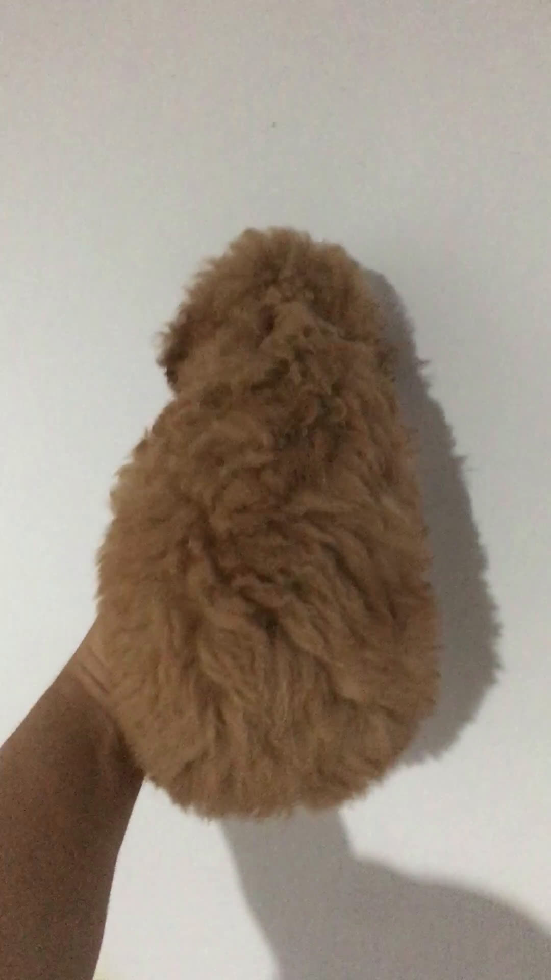 Caniche Toy perros en venta: CANICHES TOYS en Madrid - Video 2