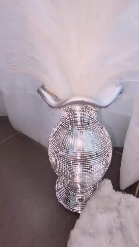 Caniche Toy perros en venta: Excelentes cachorros de caniches  en Zaragoza - Video 1